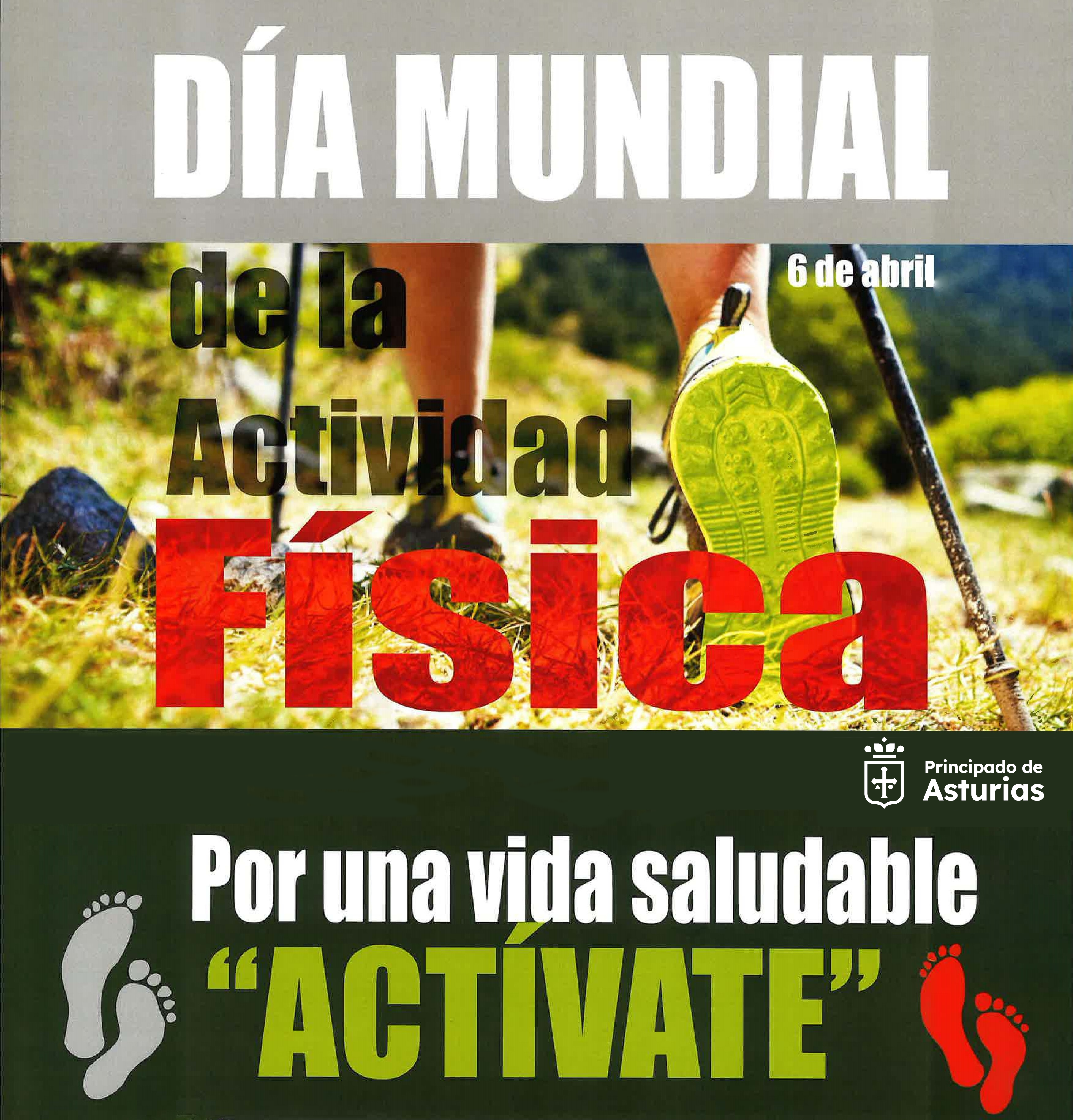 Activate Actividad física